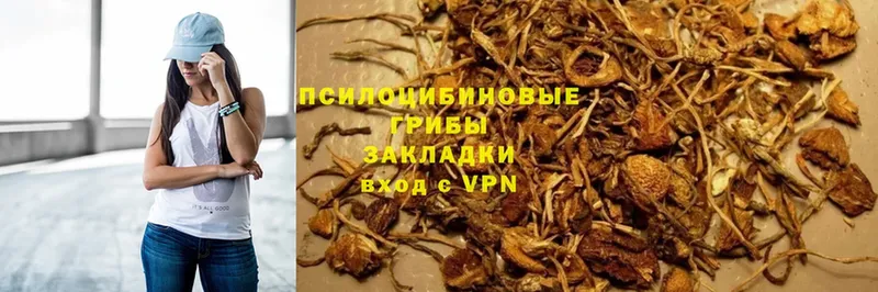 купить закладку  Николаевск  Галлюциногенные грибы MAGIC MUSHROOMS 